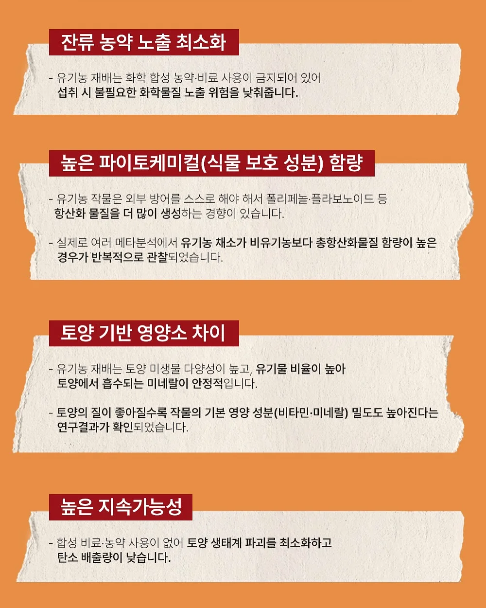 토퍼 18
