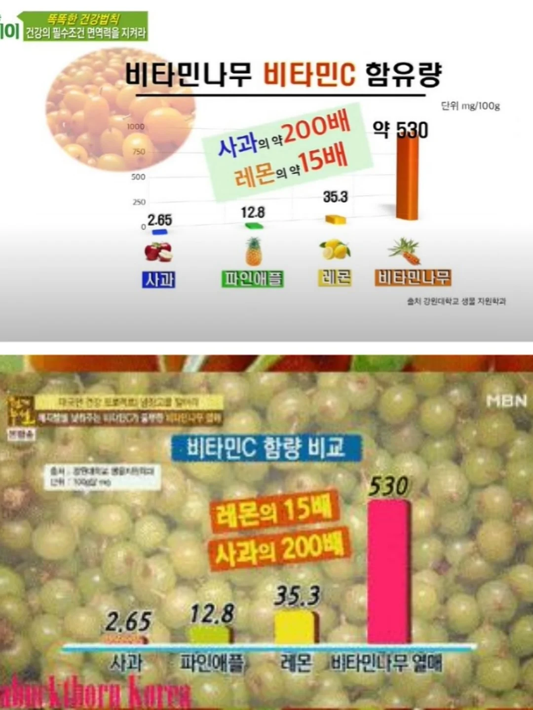 블랙/화이트 가방 17