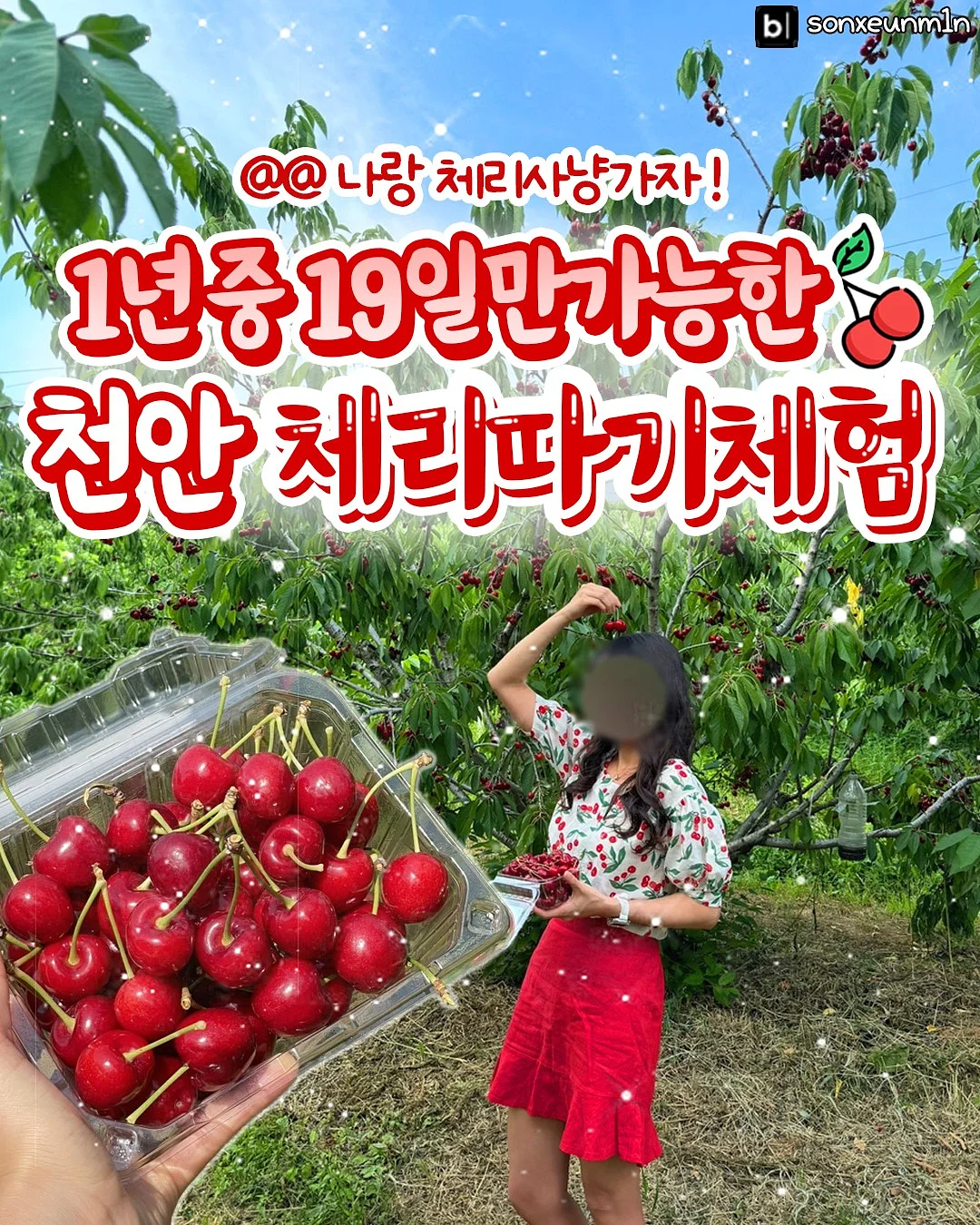 다독다독 언어/과학 1