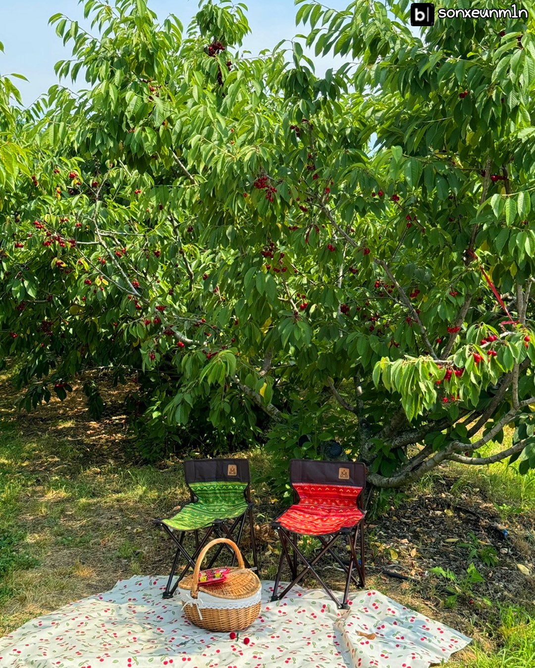 다독다독 언어/과학 7