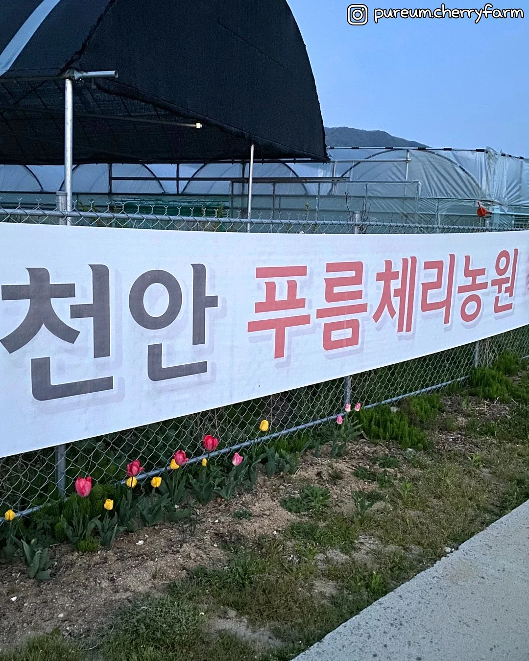 다독다독 언어/과학 9