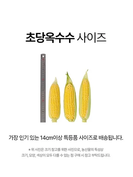 달달한 바닐라라떼 단백질 파우더 12