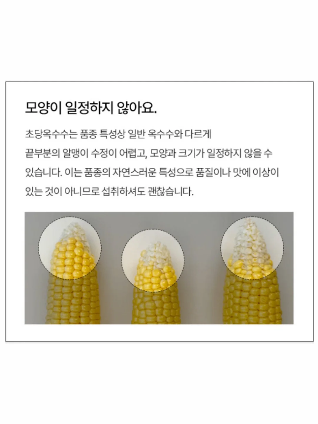 달달한 바닐라라떼 단백질 파우더 15
