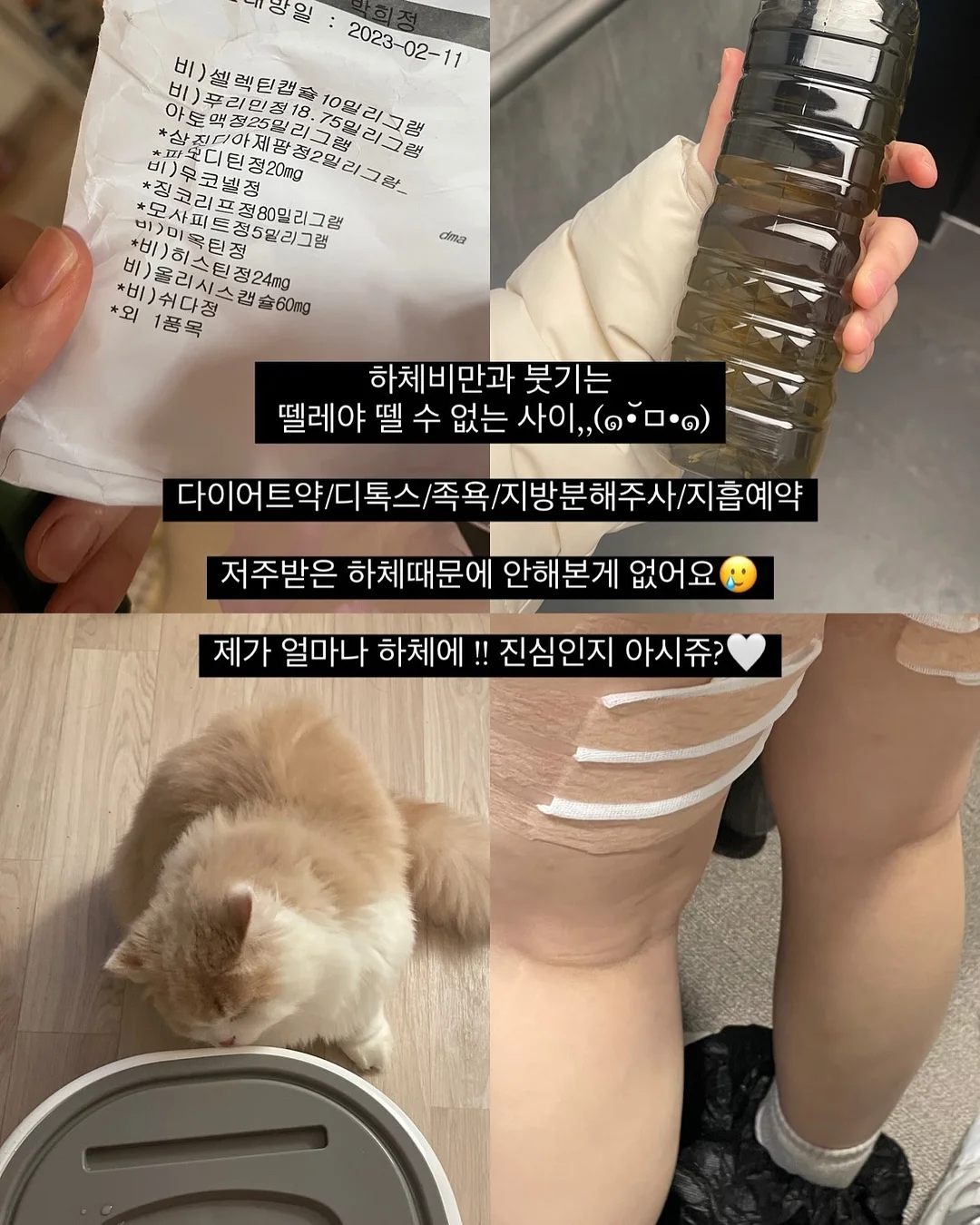 로즈드메 답례품 9