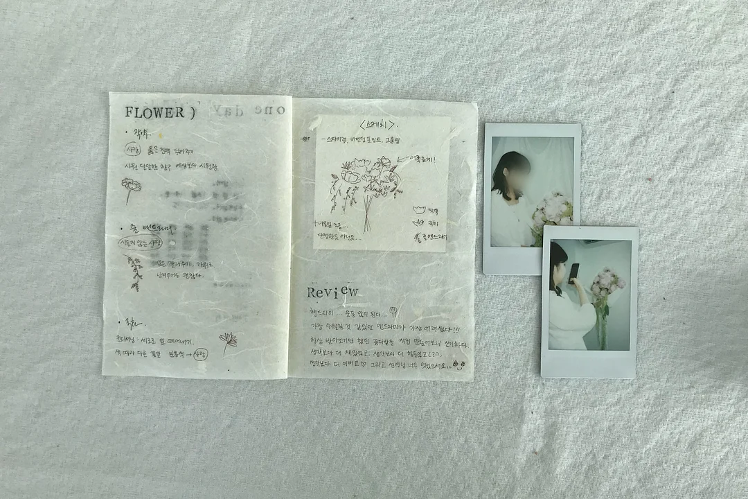 브라운 물티슈 프리미엄 옐로우 18