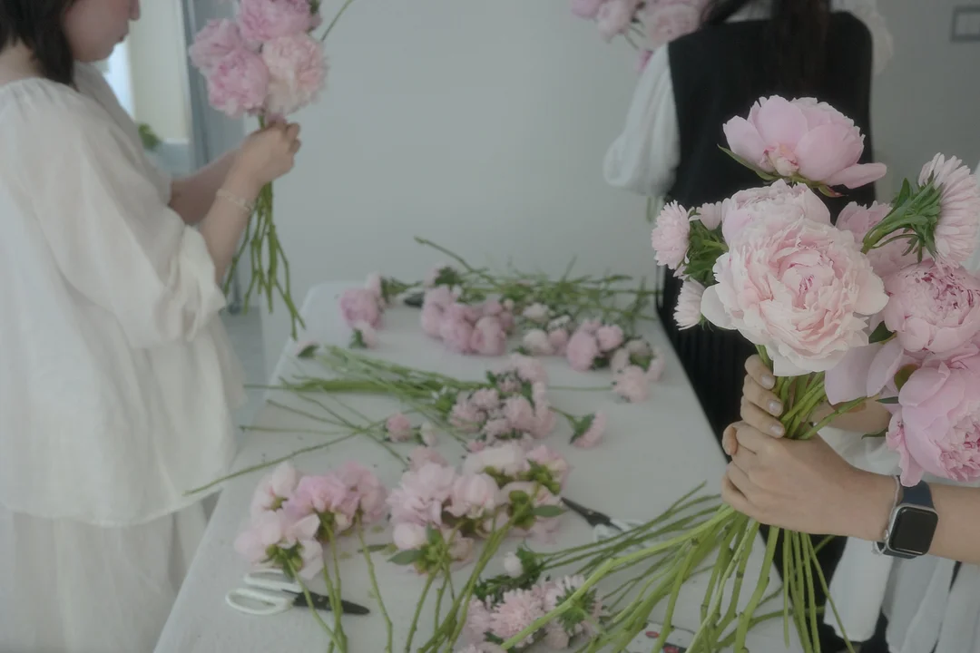 브라운 물티슈 프리미엄 옐로우 8