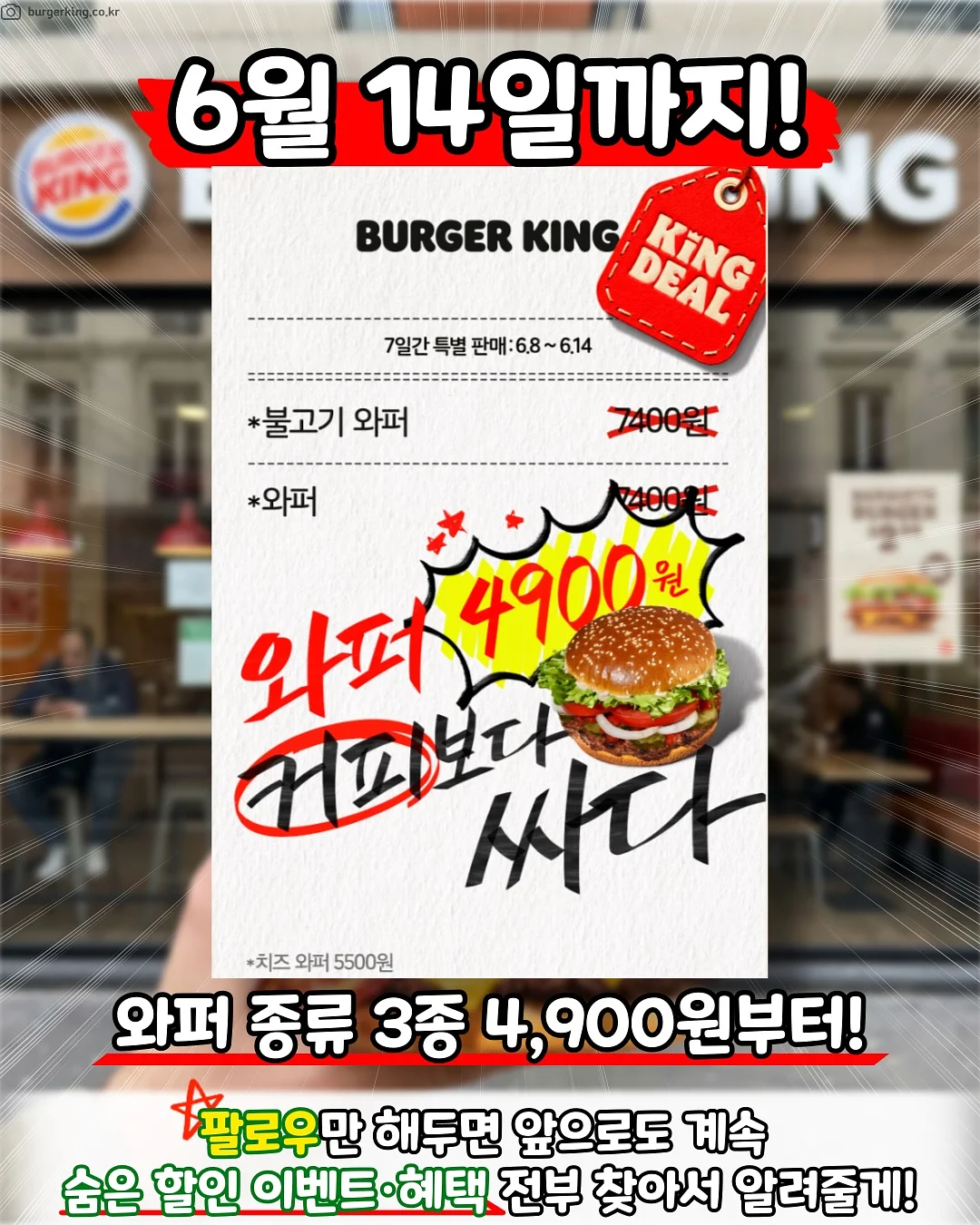 체크 나시 2