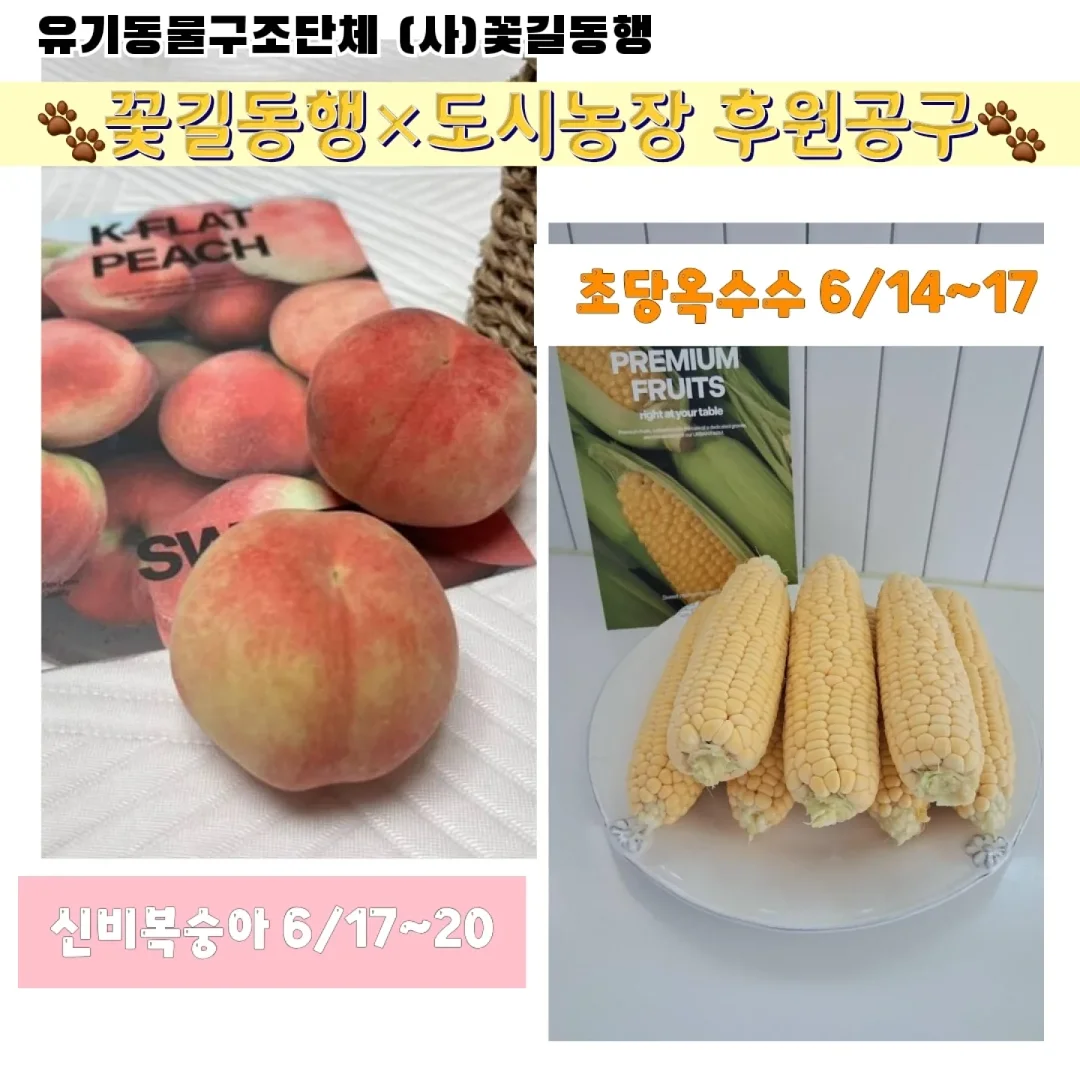 스픽 프리톡 1