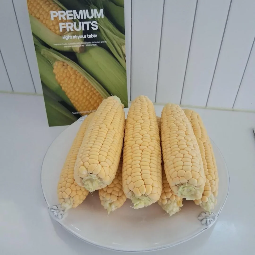 스픽 프리톡 2