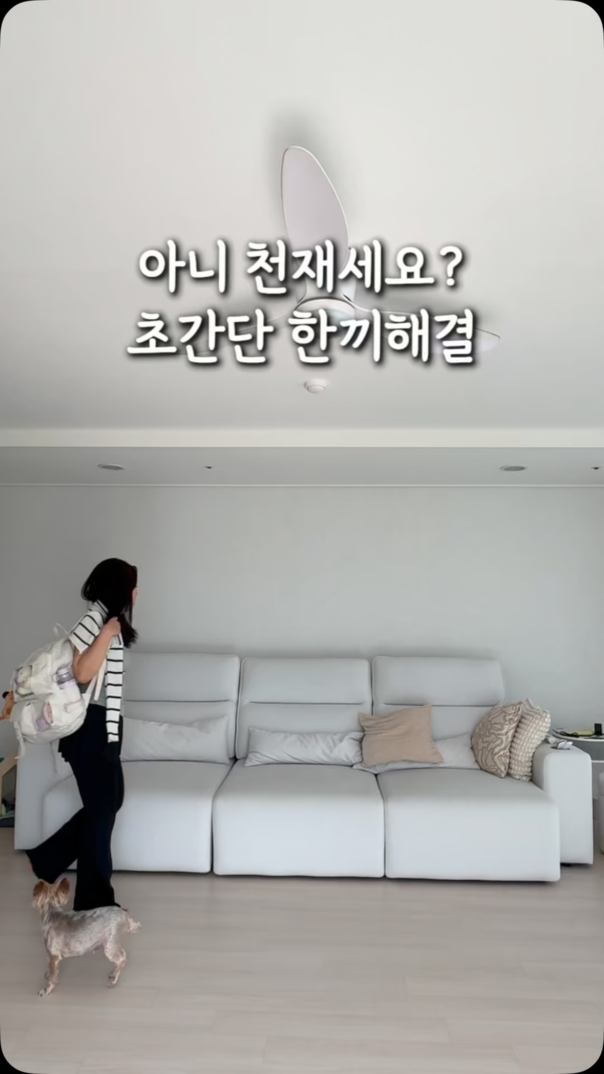 PN 핸드블렌더 엑셀레이터
