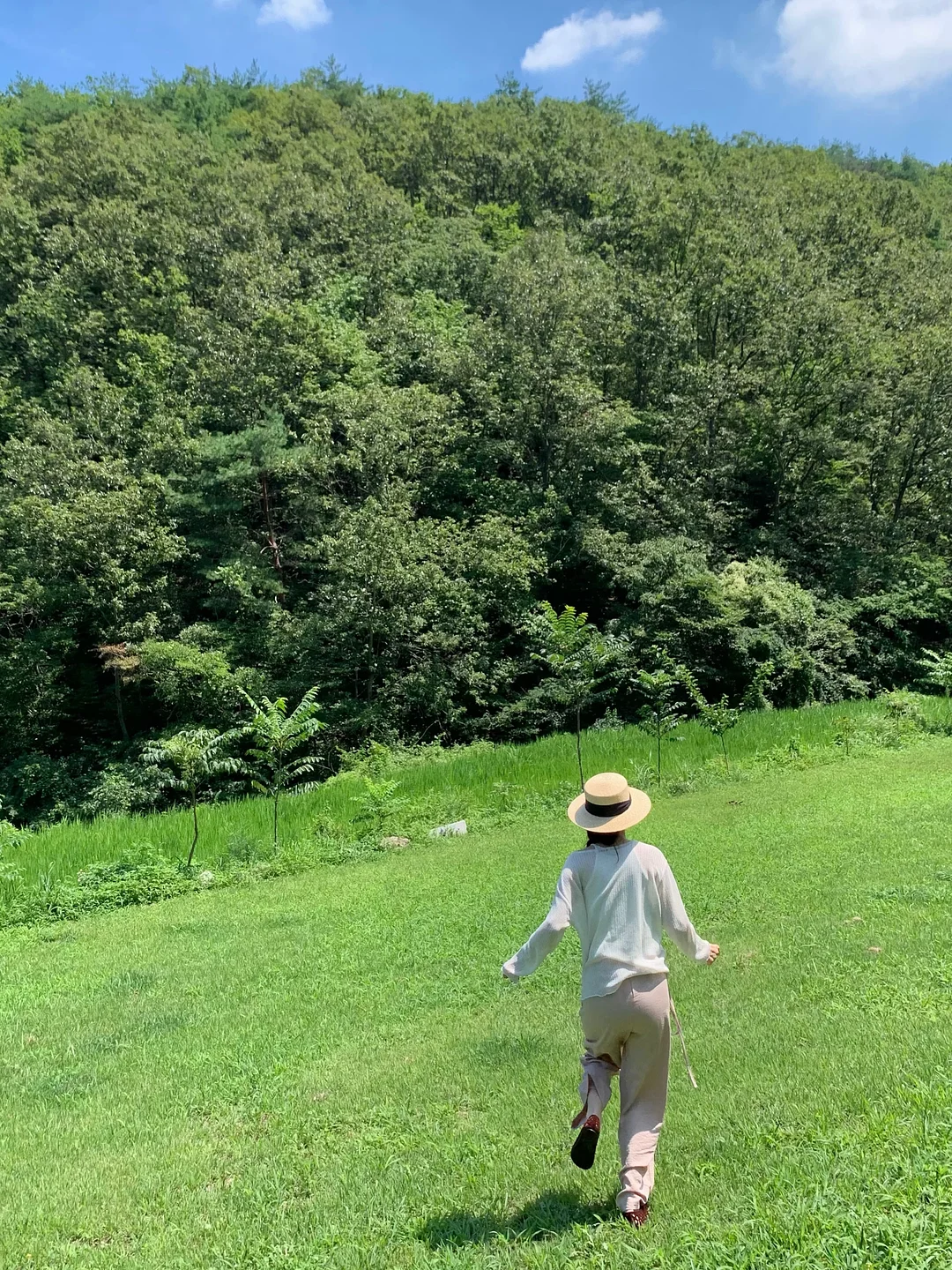 테슬라 휠커버 20