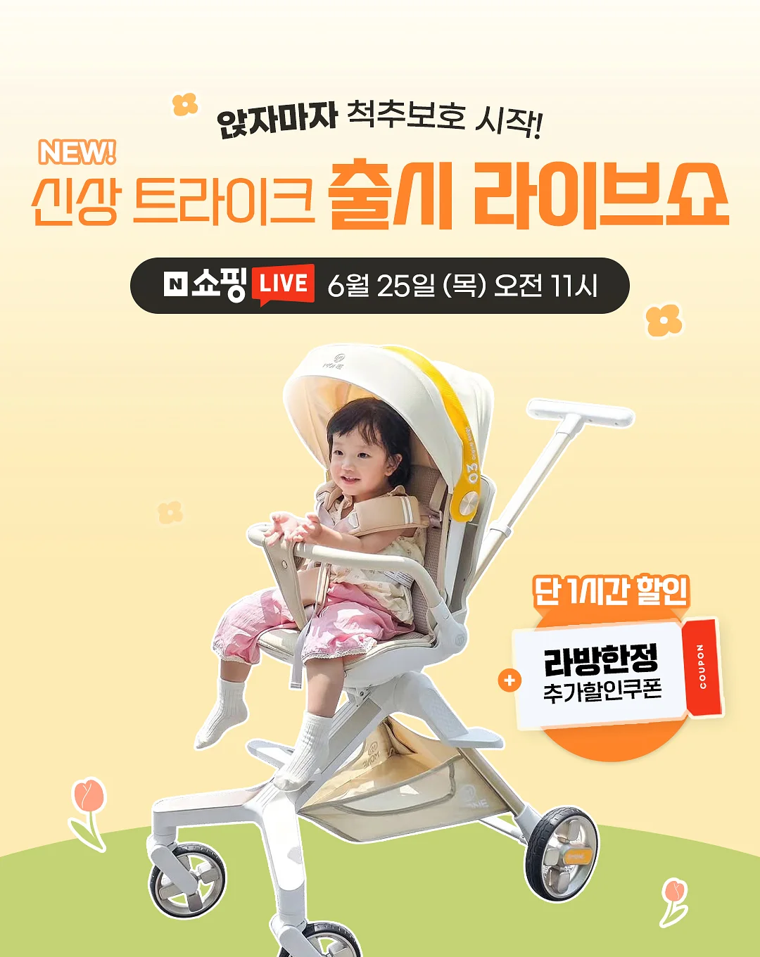 뜨개 자격증