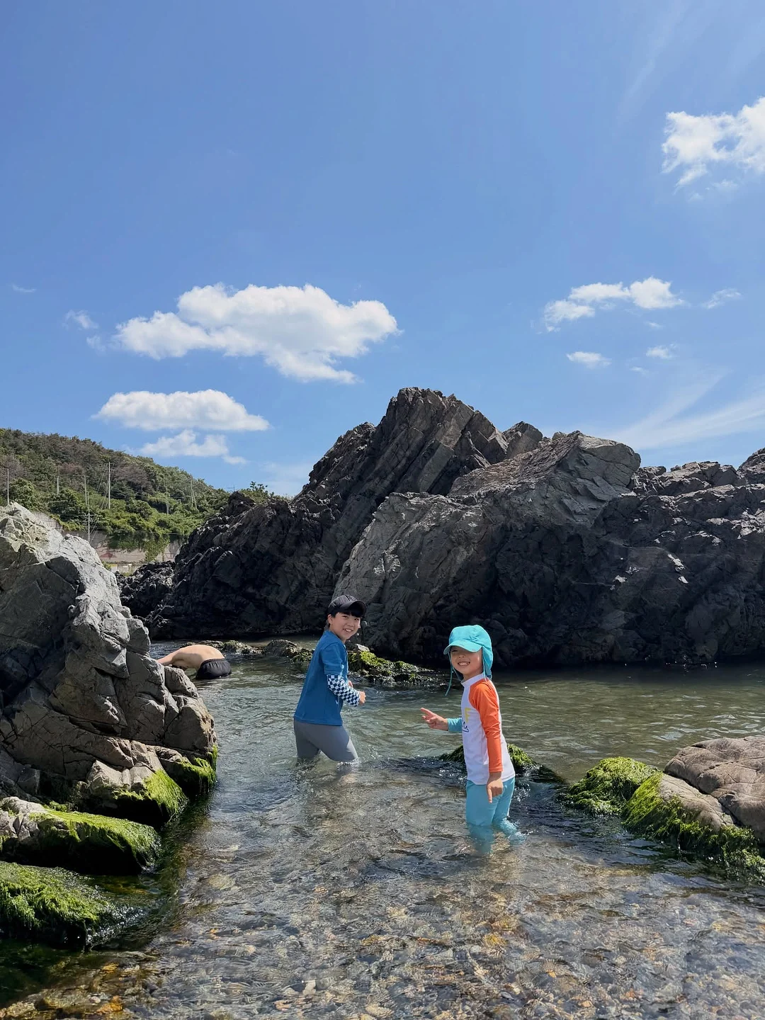 오로라토퍼 능소화 머니홀더 2