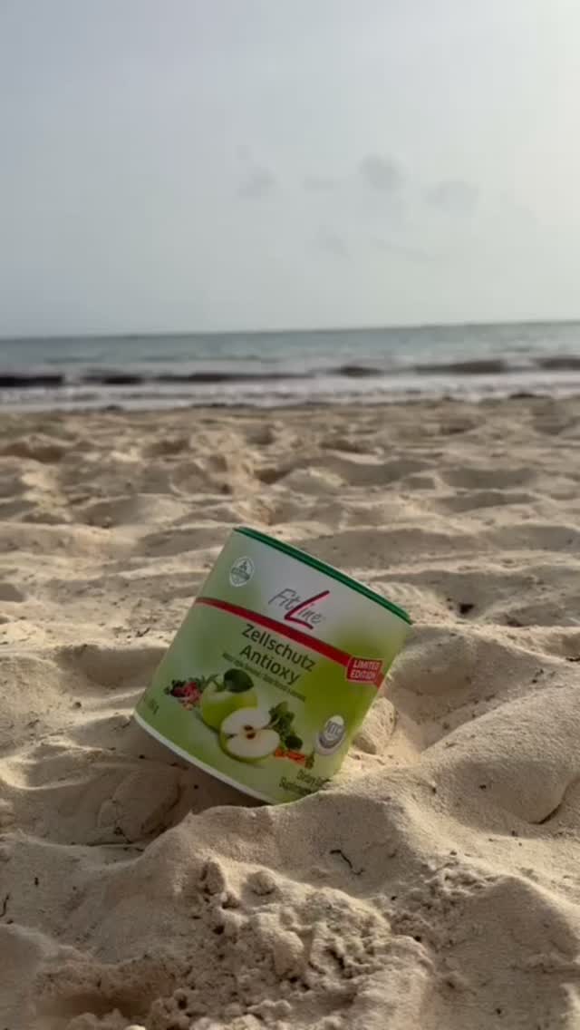 요물 파우치