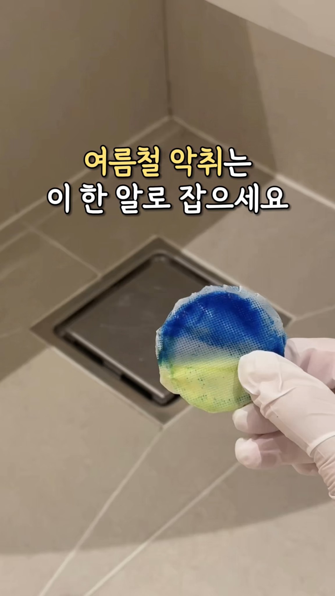 에코백