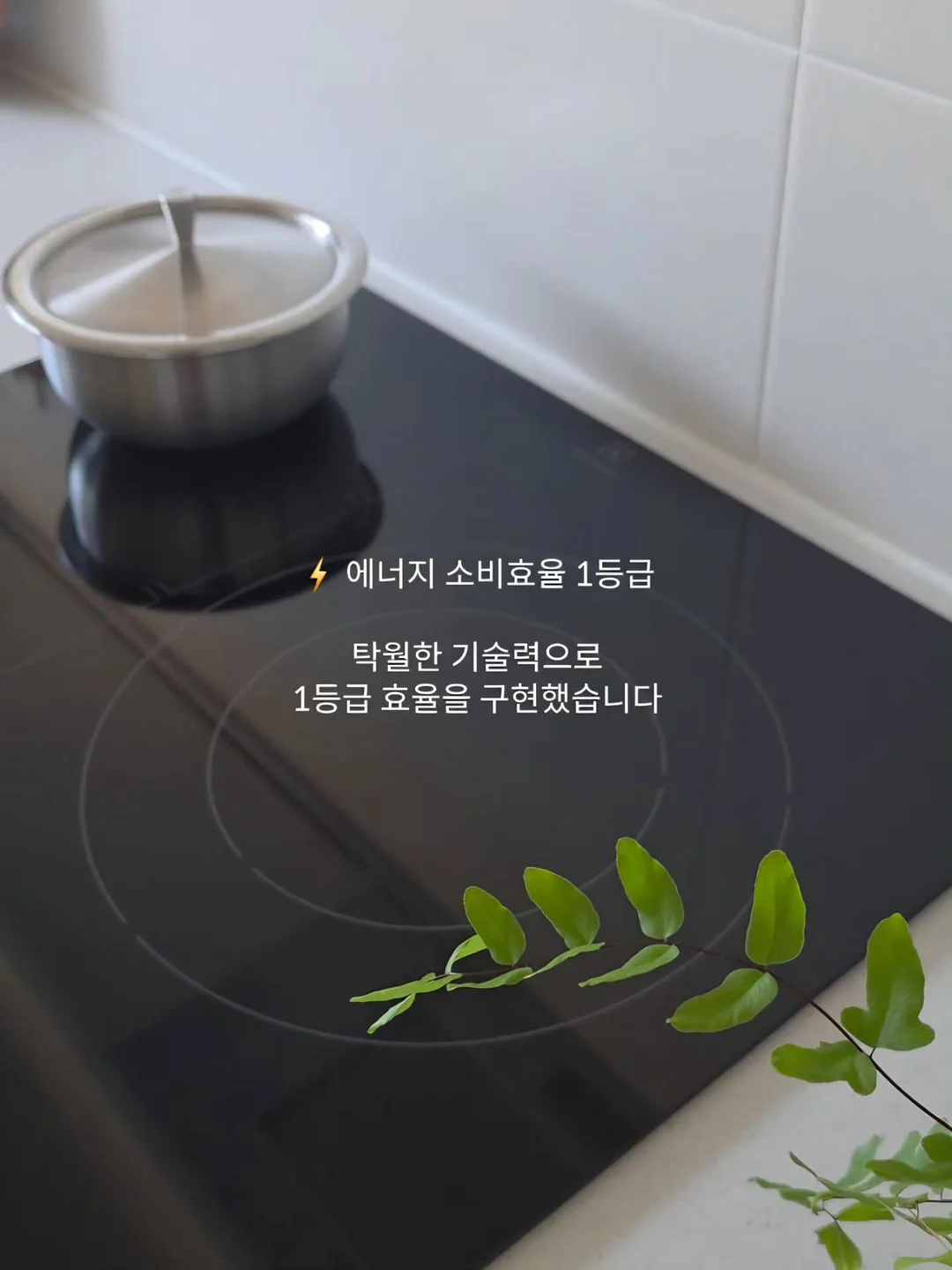 파닉스 리더스 30권 세트 13