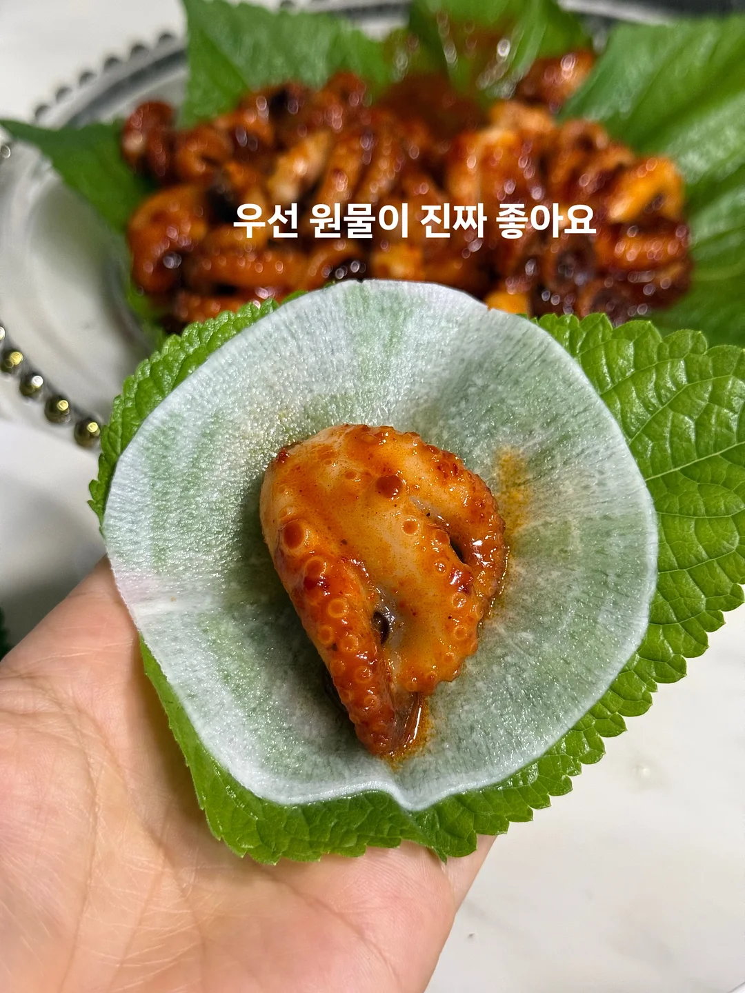 리커버리플러스 2