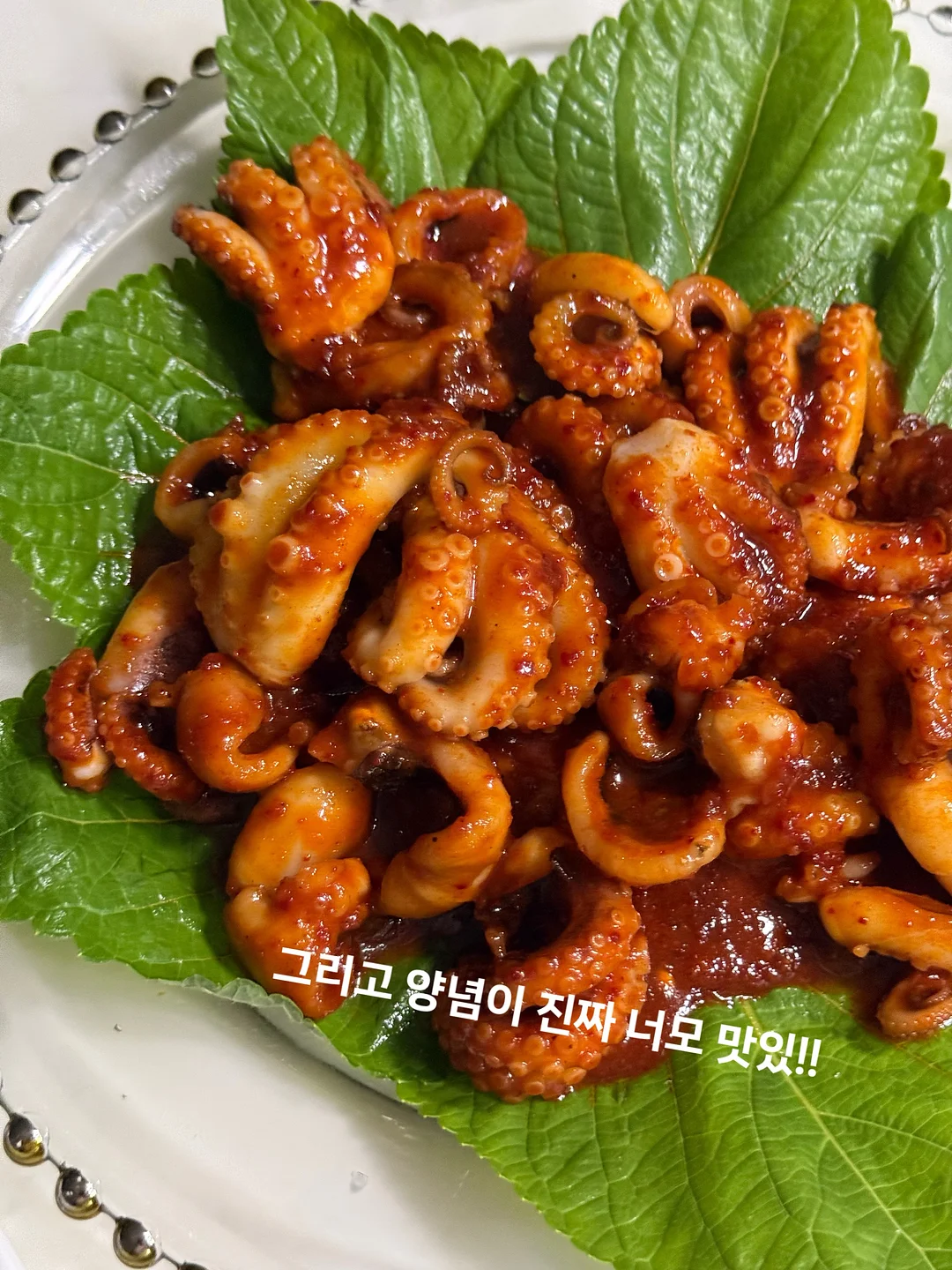 리커버리플러스 3