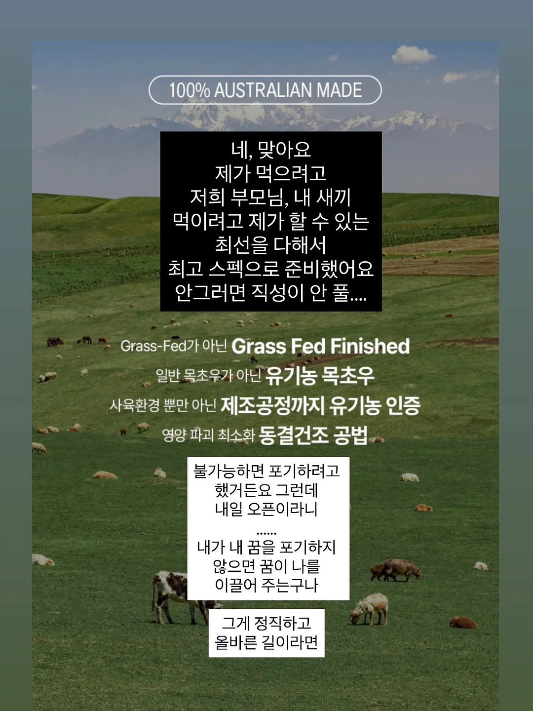 학교생활 결석, 지각, 조퇴 관련 상황별 예시 문구 파일 11