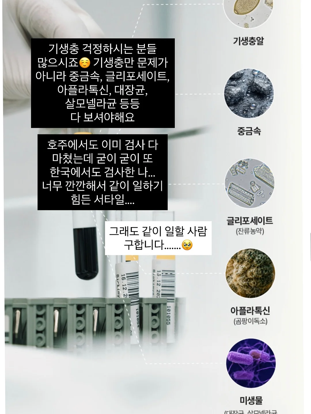 학교생활 결석, 지각, 조퇴 관련 상황별 예시 문구 파일 14