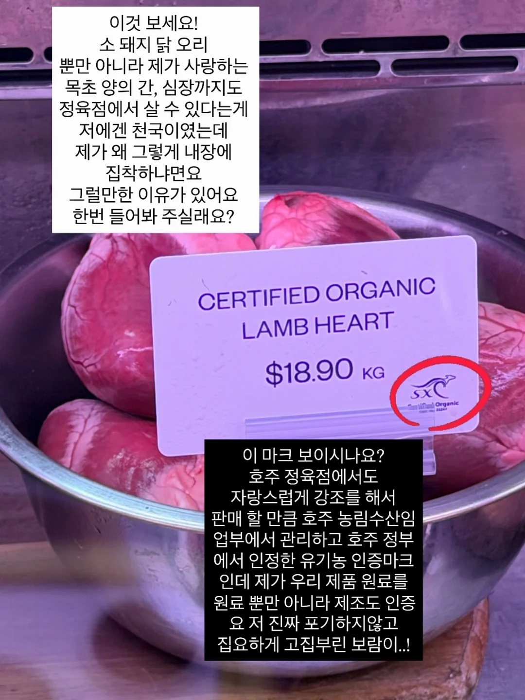 학교생활 결석, 지각, 조퇴 관련 상황별 예시 문구 파일 4