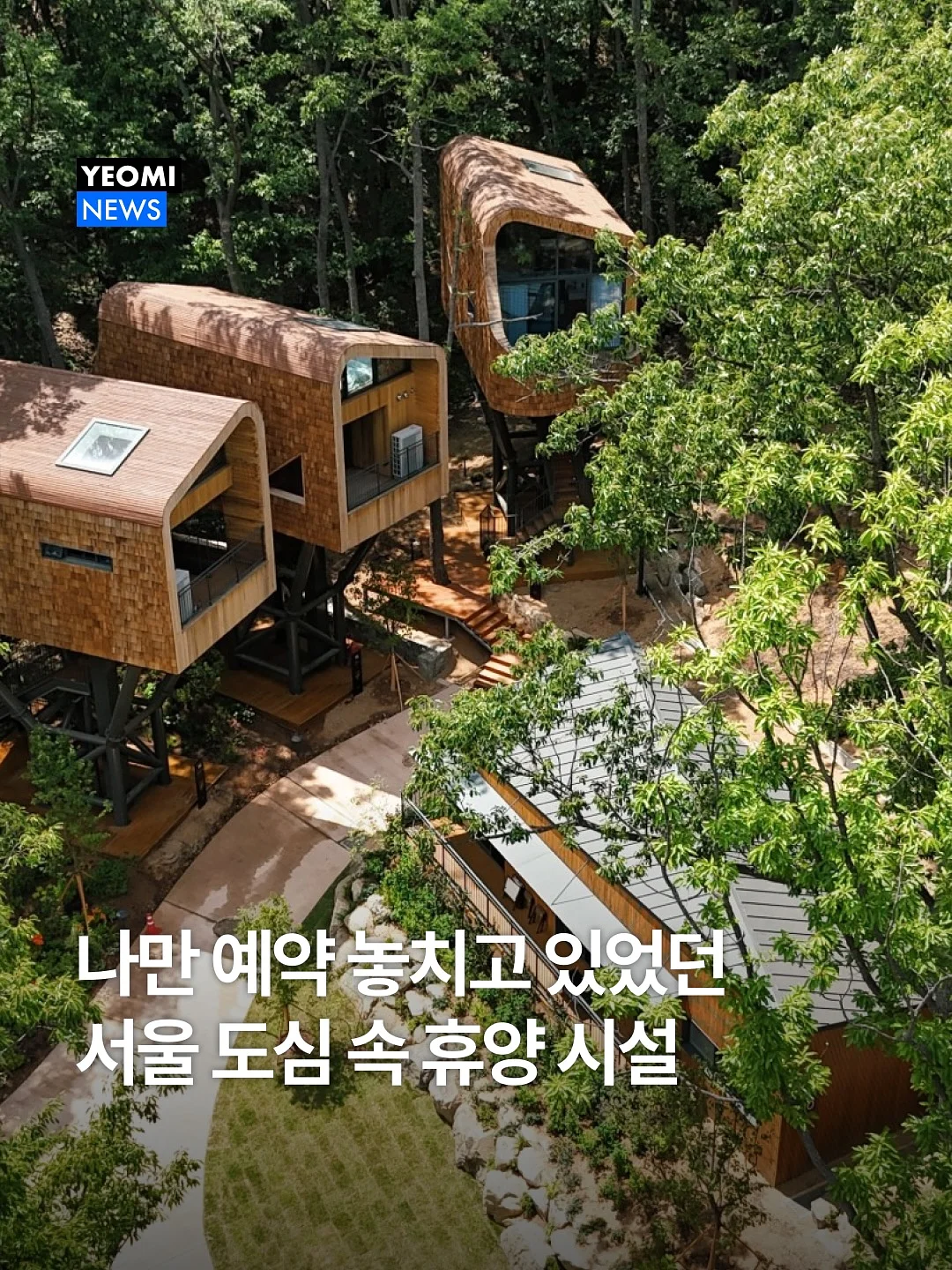무인양품 뻐꾸기 시계, 텀블러 건조스틱, 인센스 홀더 1