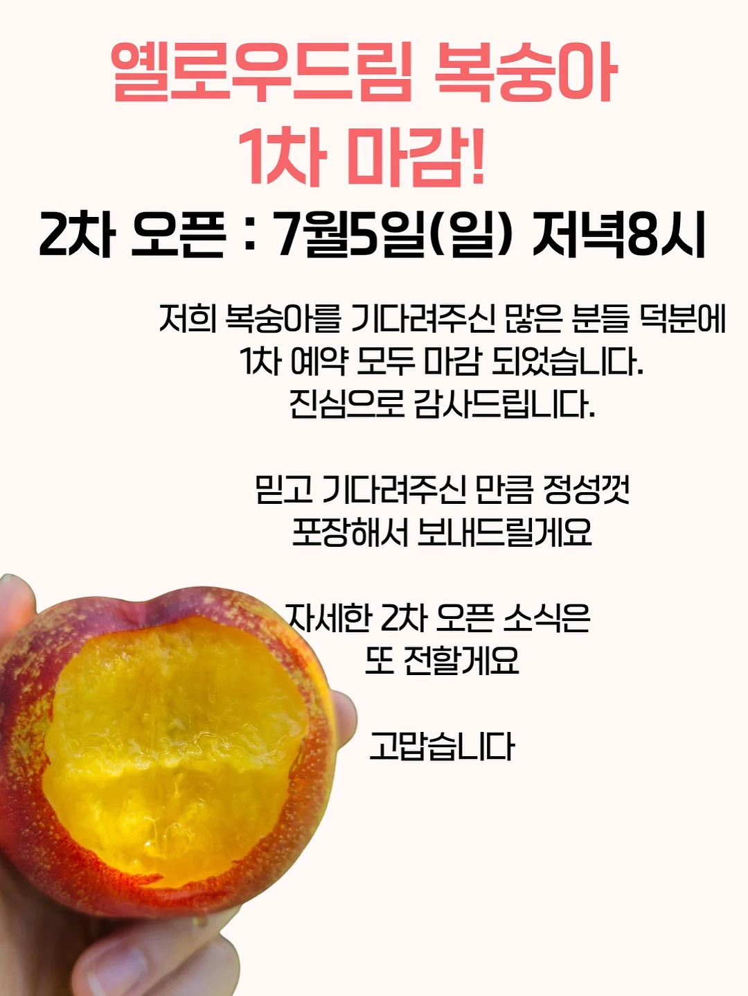 코토나 웰니스루틴 페이보릿 세트 첼시 5