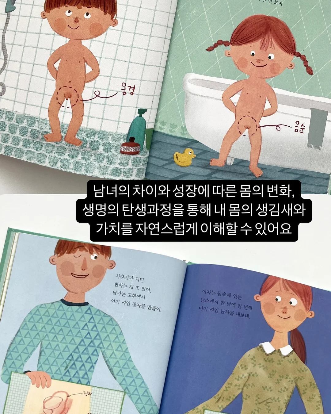 슈퍼푸드밥 9