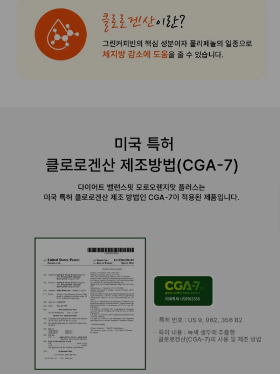 용선생의 과학교실 6