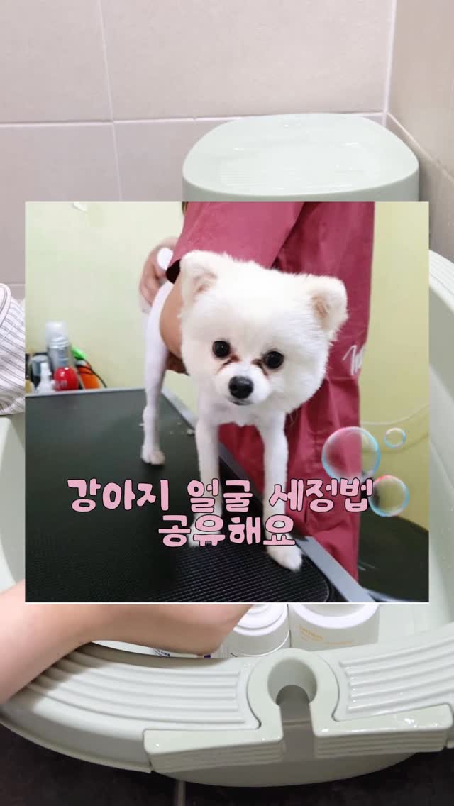 화이트리에 땅콩버터
