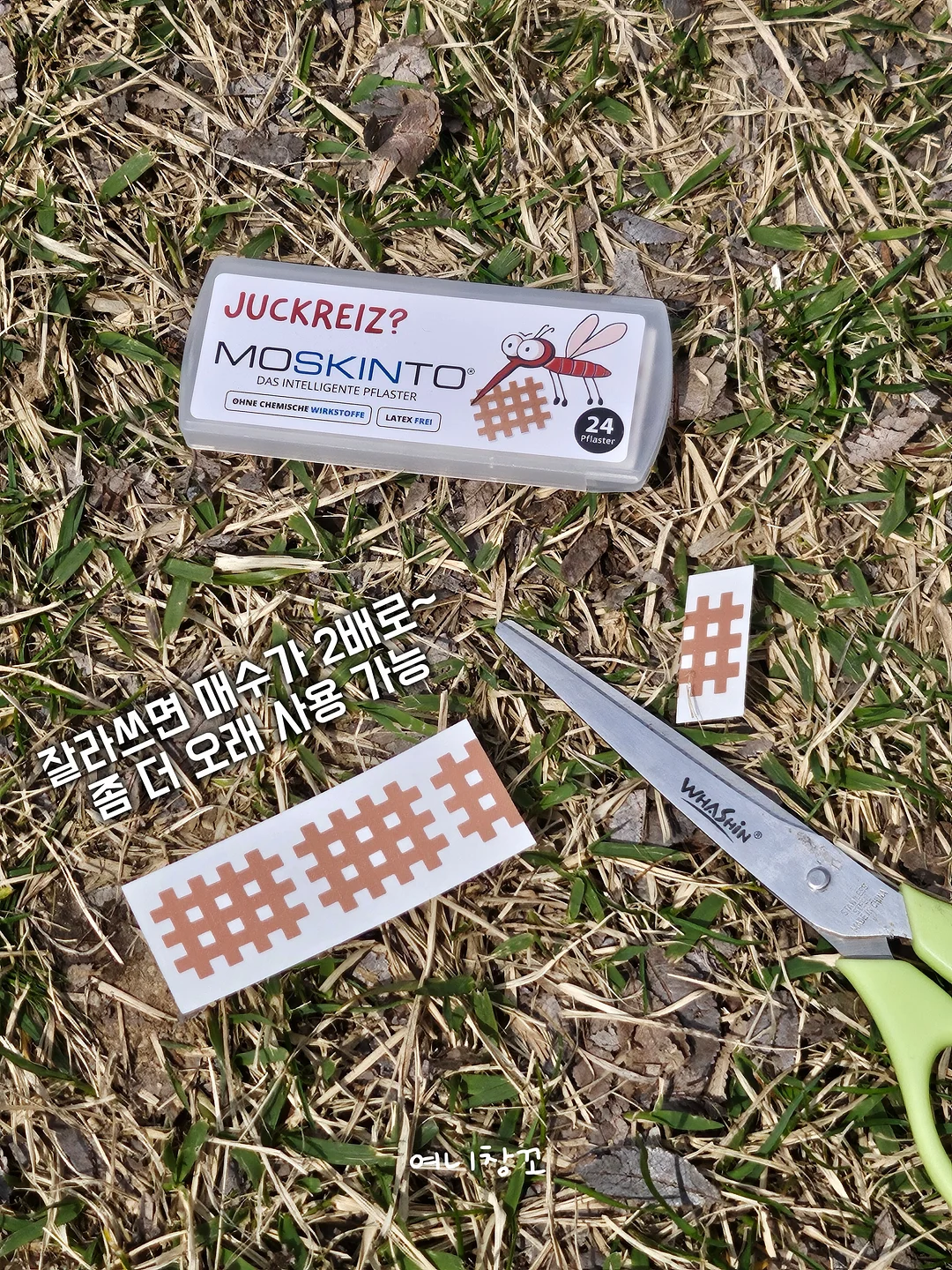 질문의 책 4