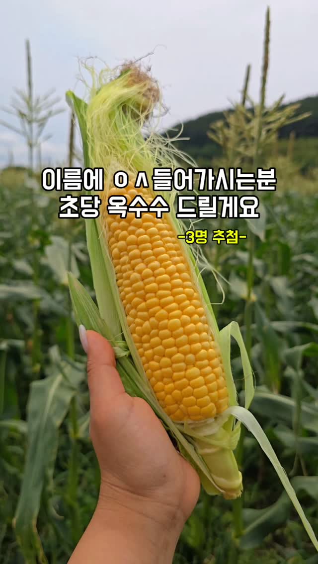아치화병