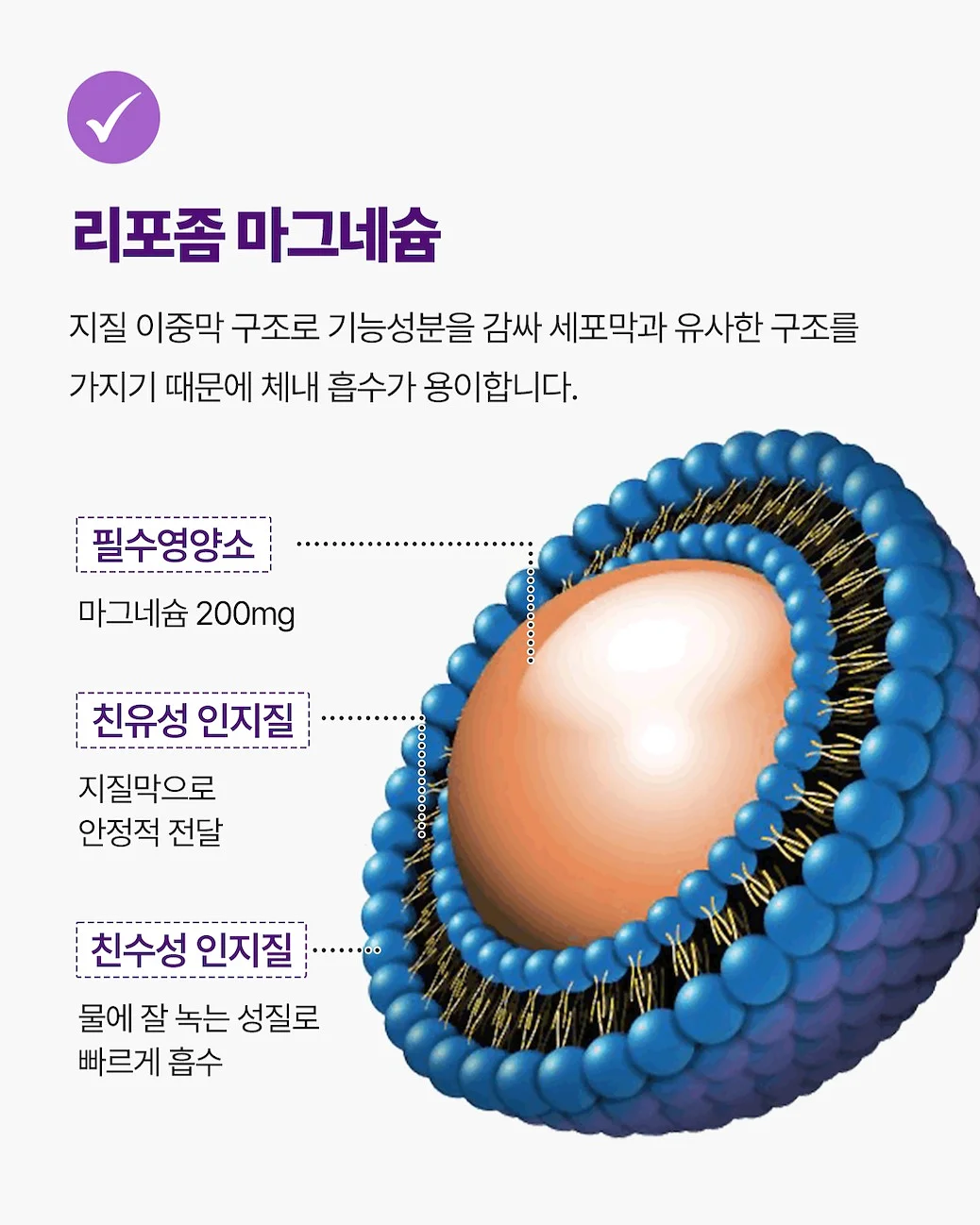 베이프 시티카모 반팔 5