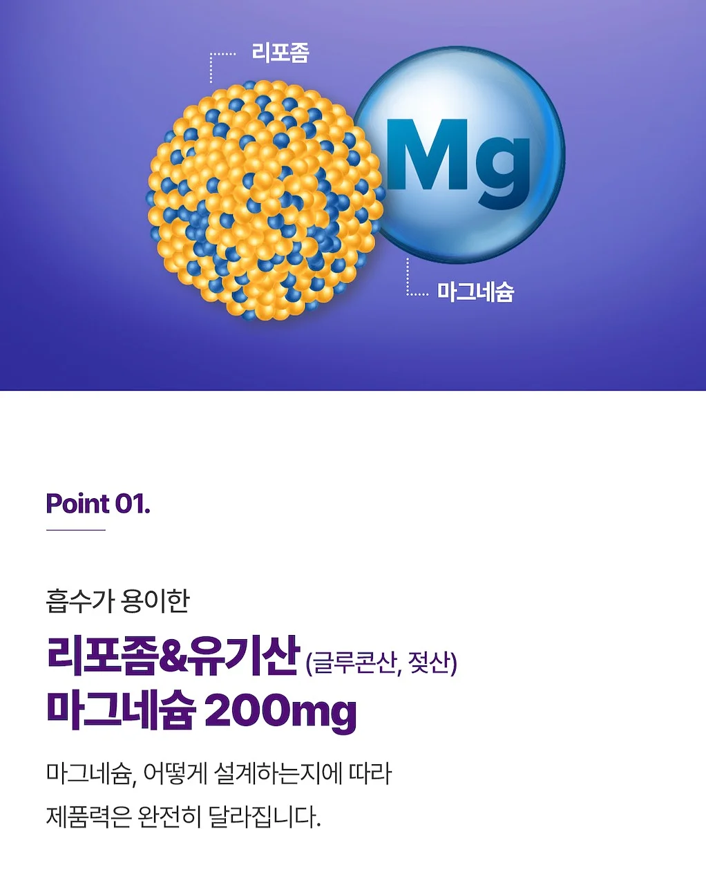 베이프 시티카모 반팔 7