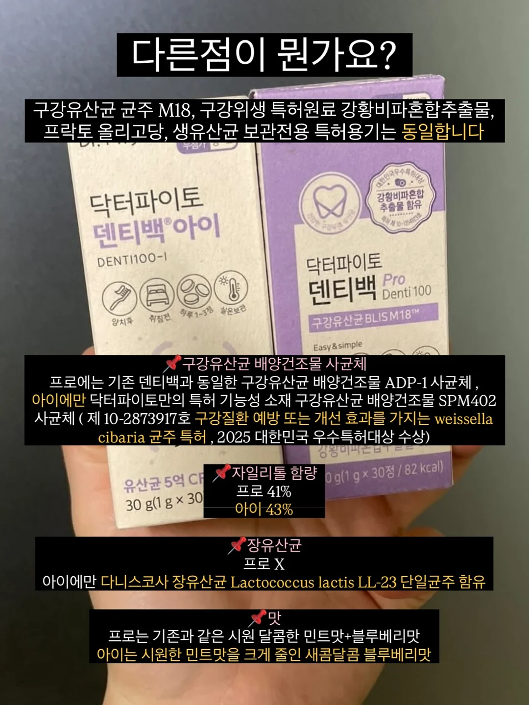 식전영상 6