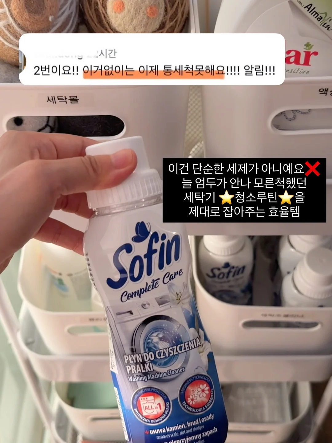 캘리포니아 프린지 이스트 워시드 게샤 15