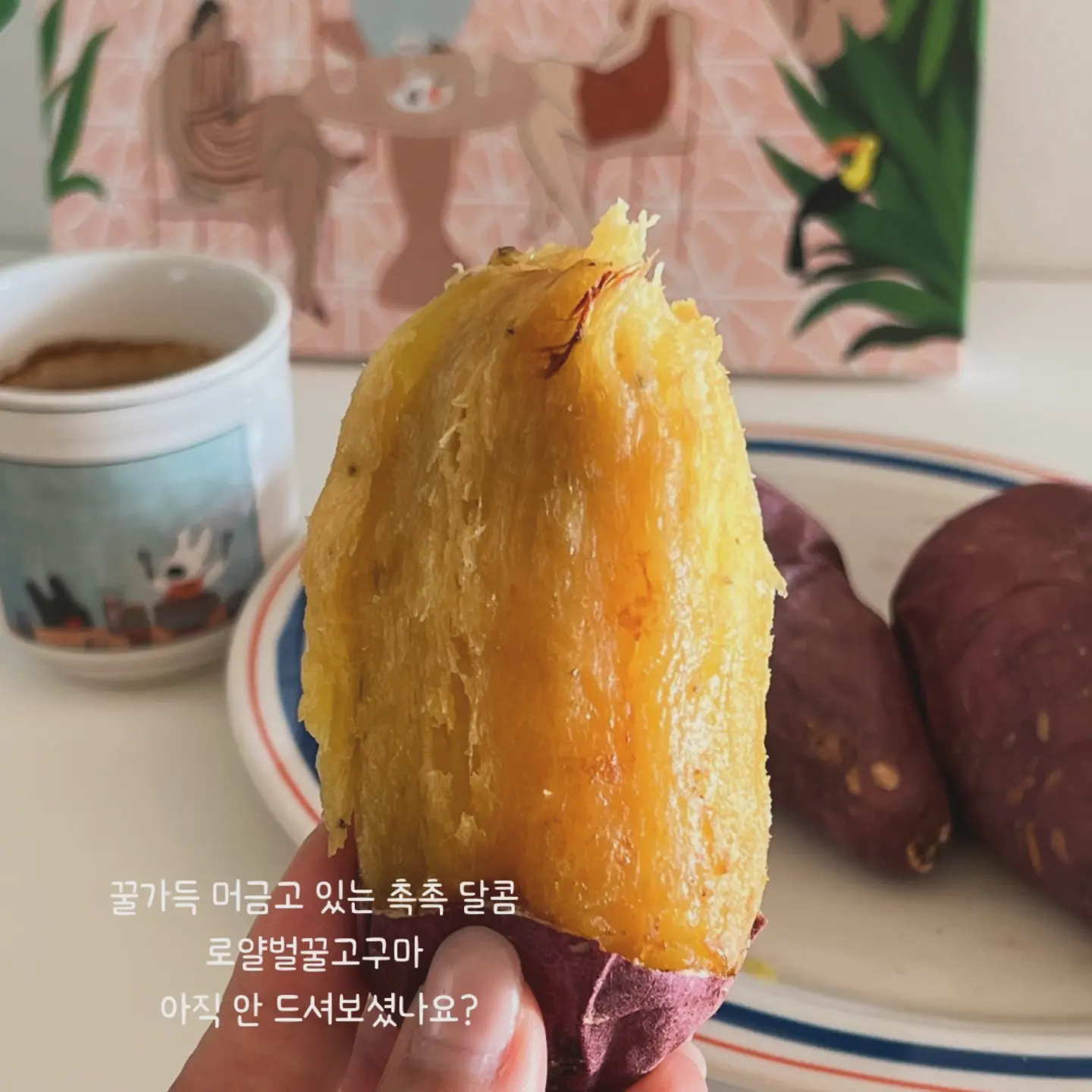 보석단추가디건 글리터가디건 펄 볼륨 소매 카디건 7부 브라운 1