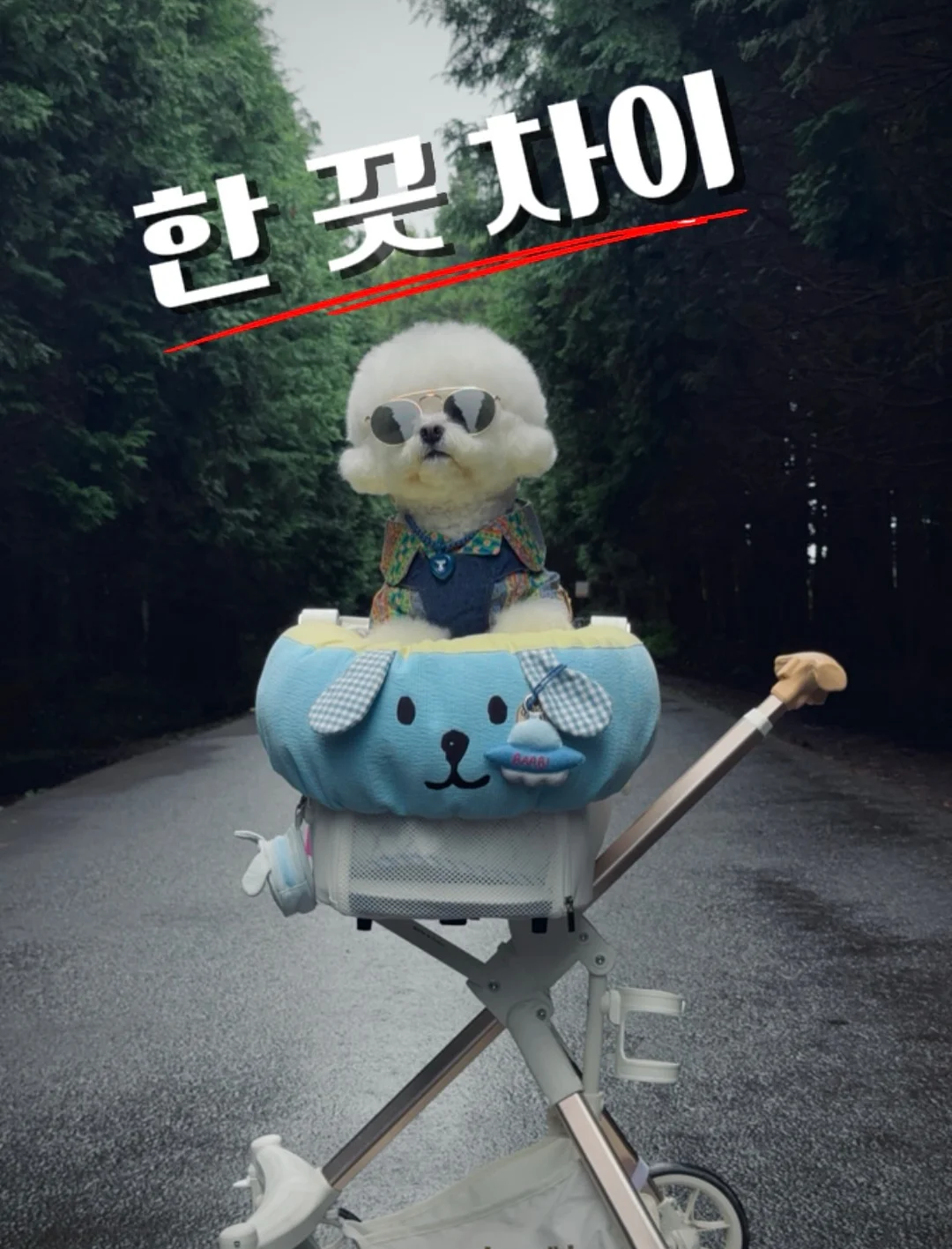 무스텔라 선 로션 1
