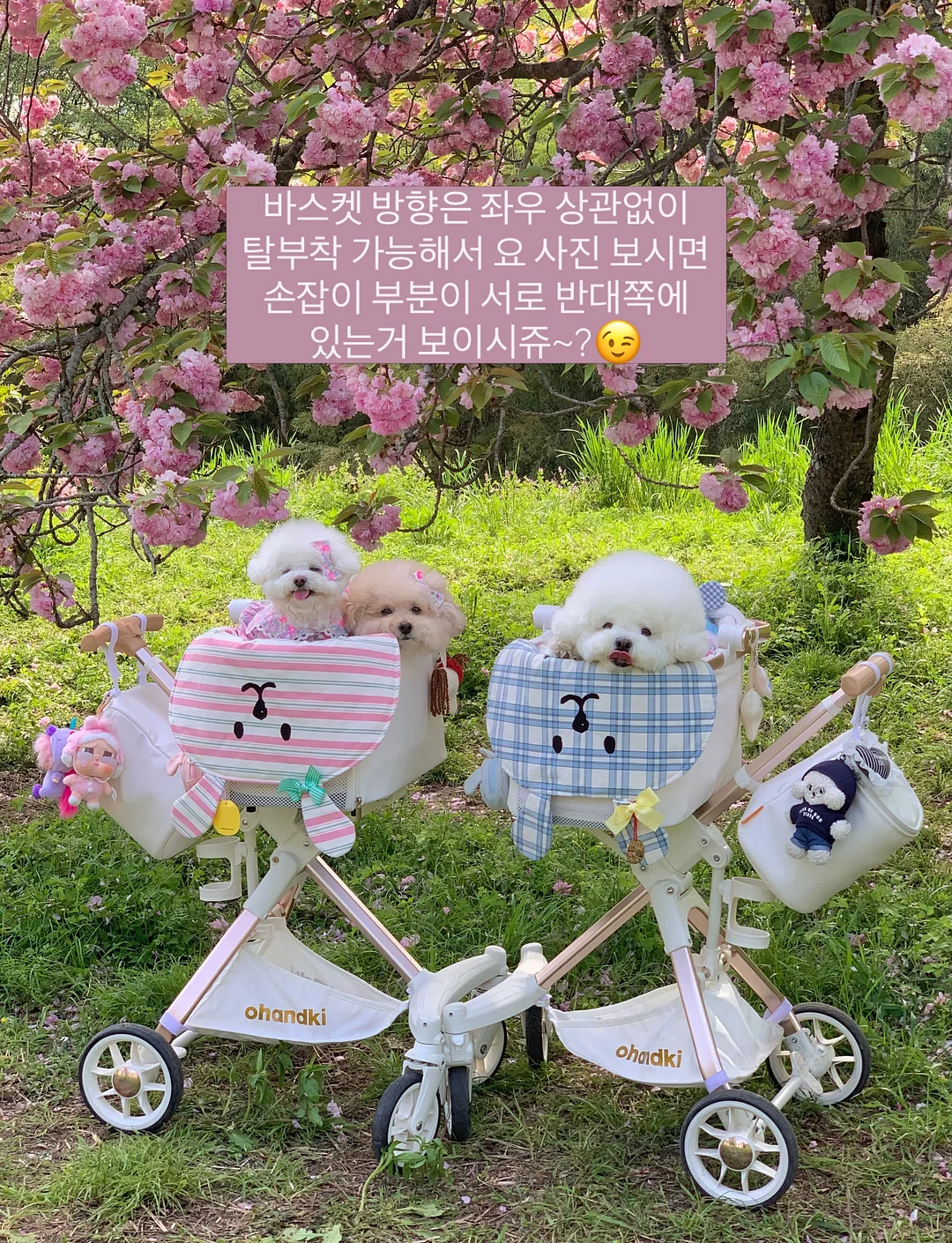 무스텔라 선 로션 11