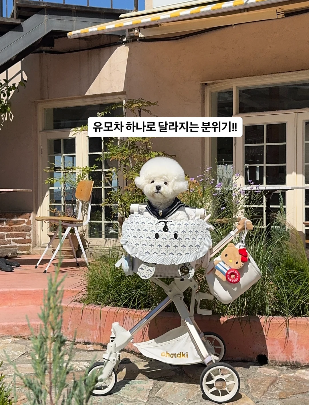 무스텔라 선 로션 2