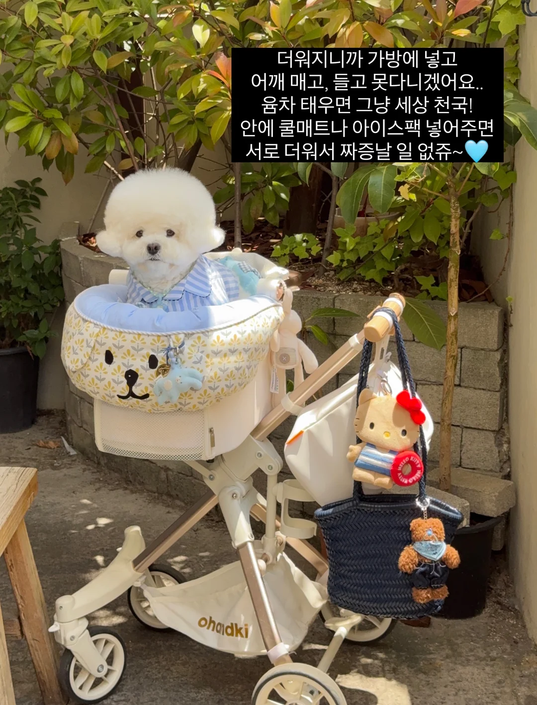 무스텔라 선 로션 4