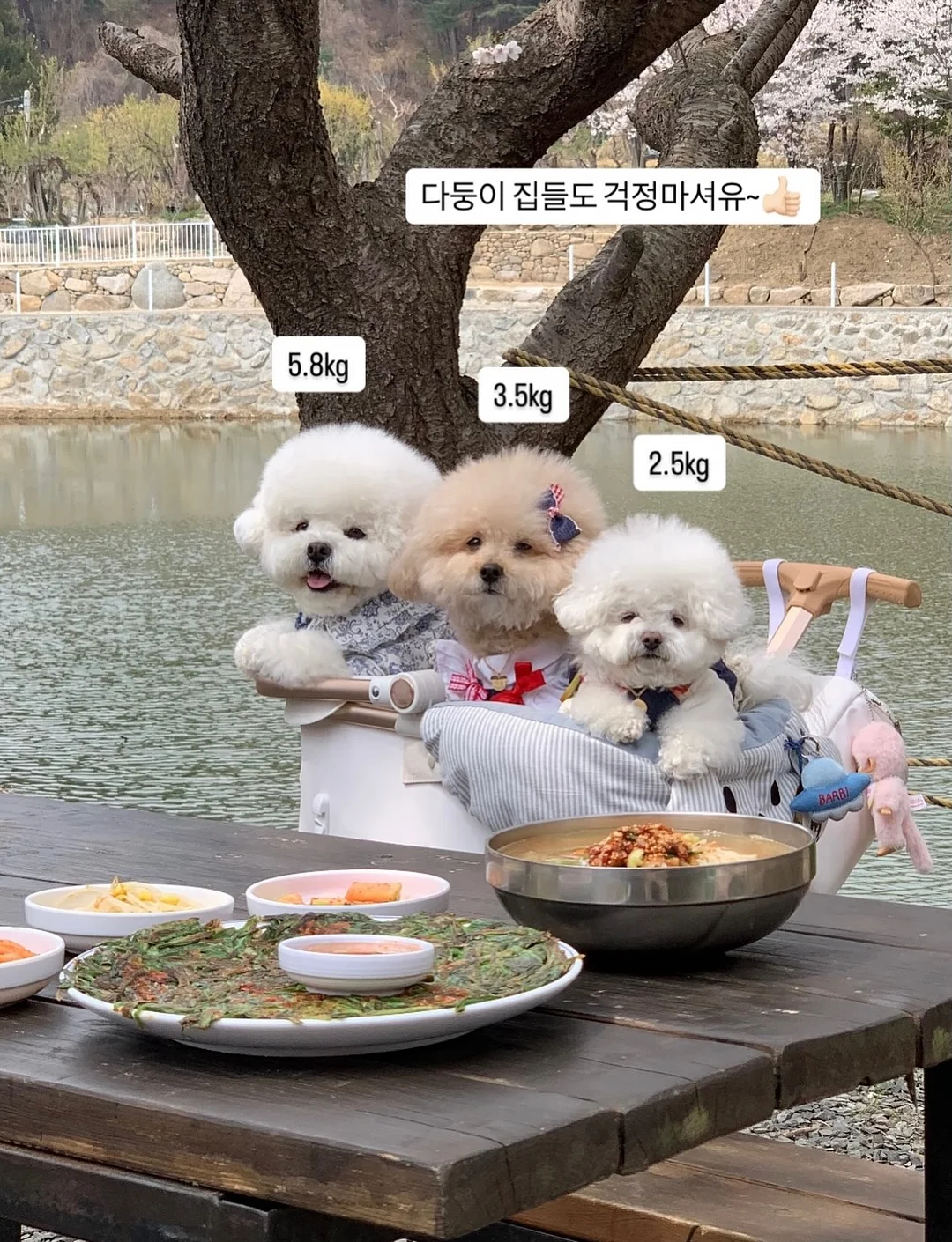 무스텔라 선 로션 8