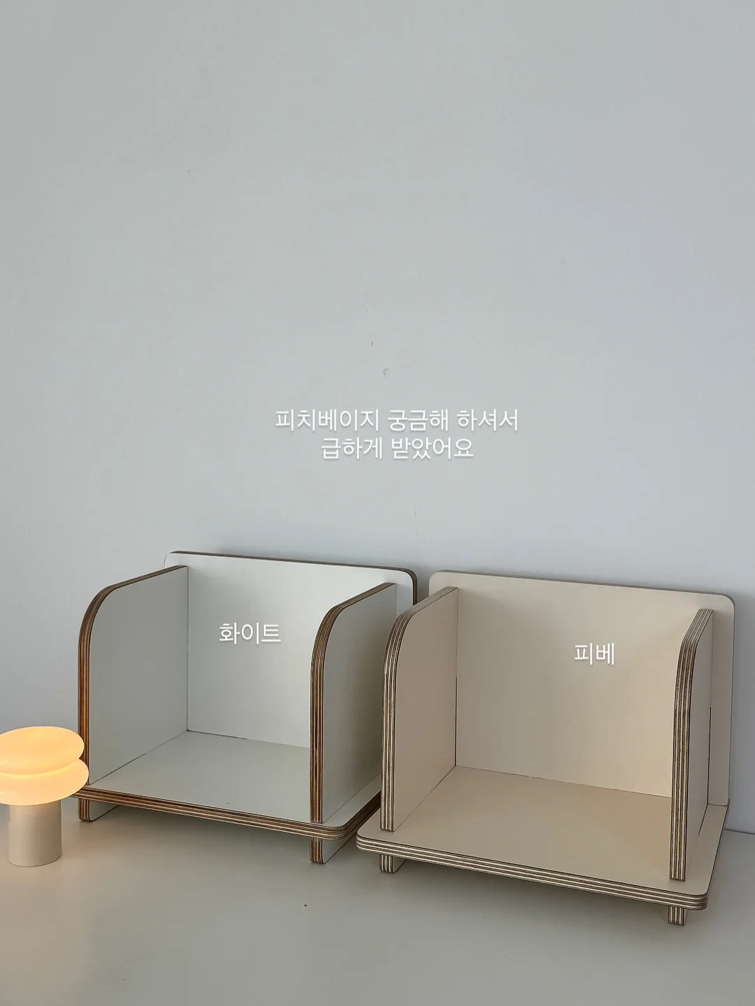 푸른 식물 3