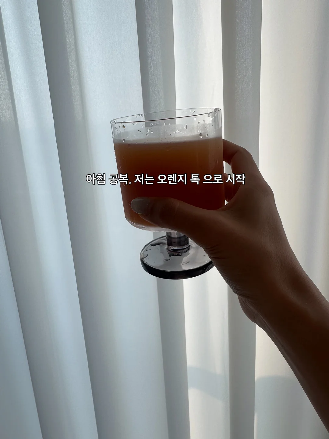공타르베 카톡 알림방 2