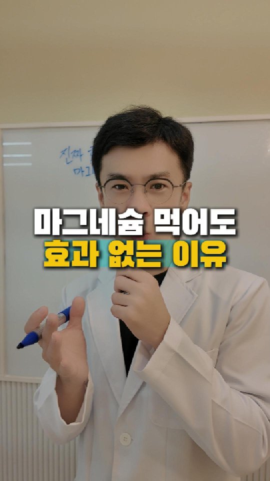 프론트엔드 프로젝트