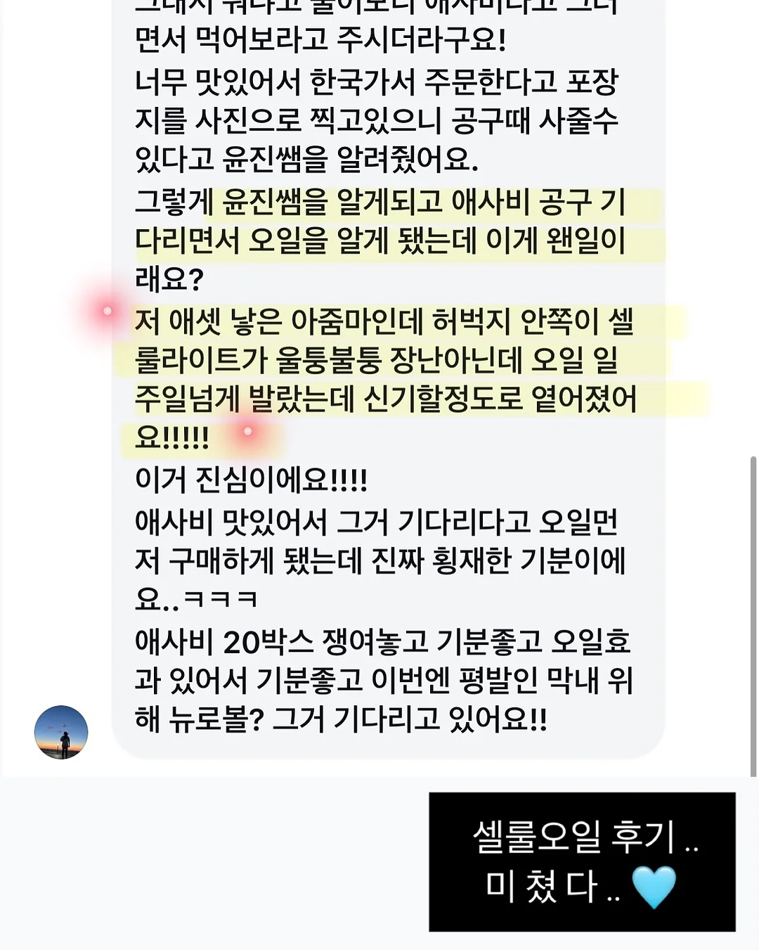 그린스크린 15