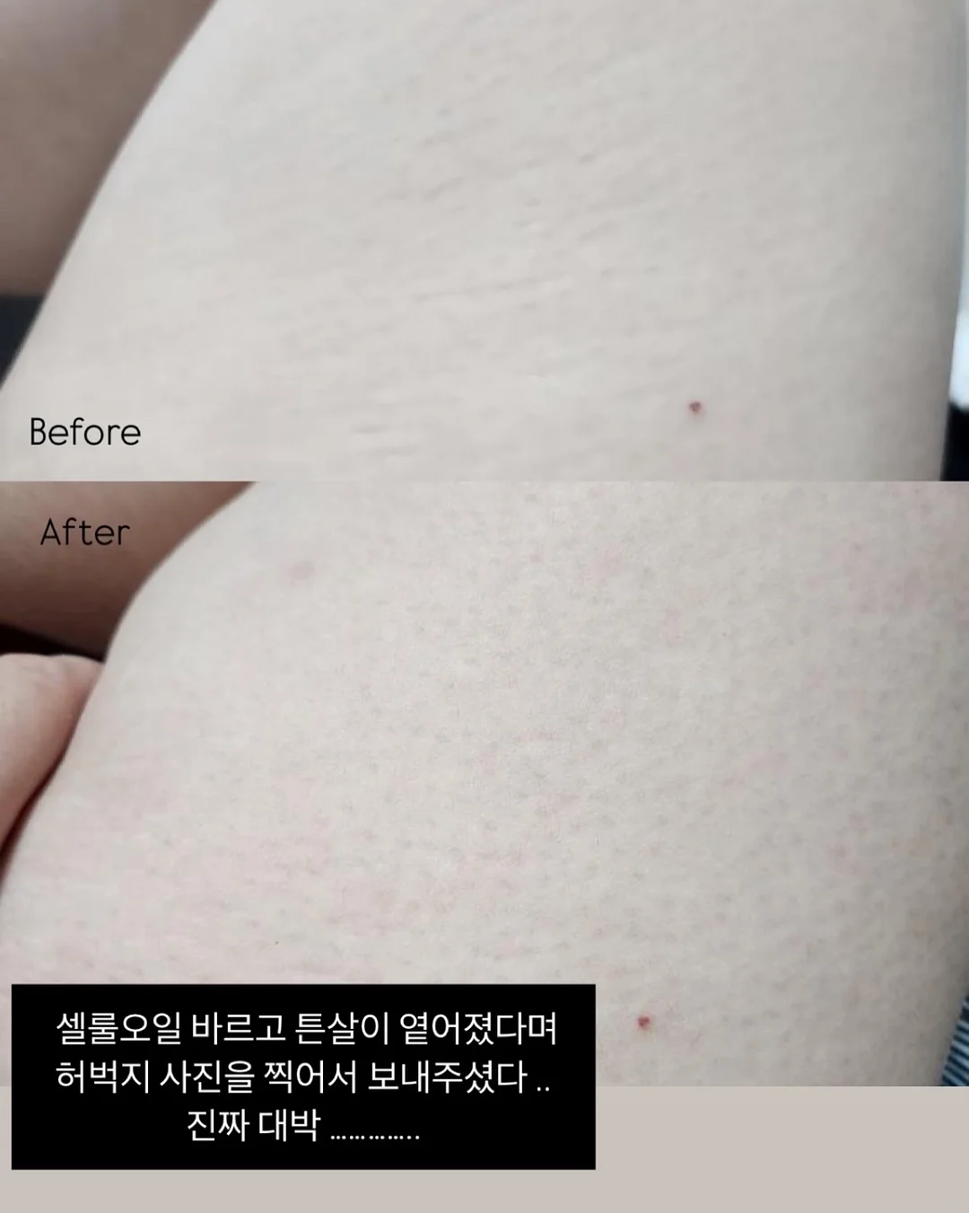 그린스크린 8