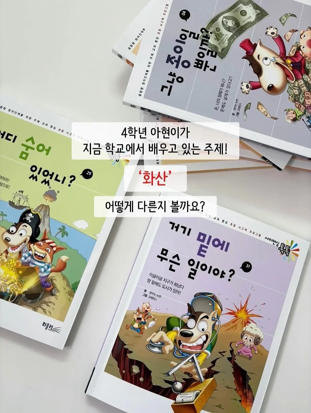결혼식 사회 서비스 6