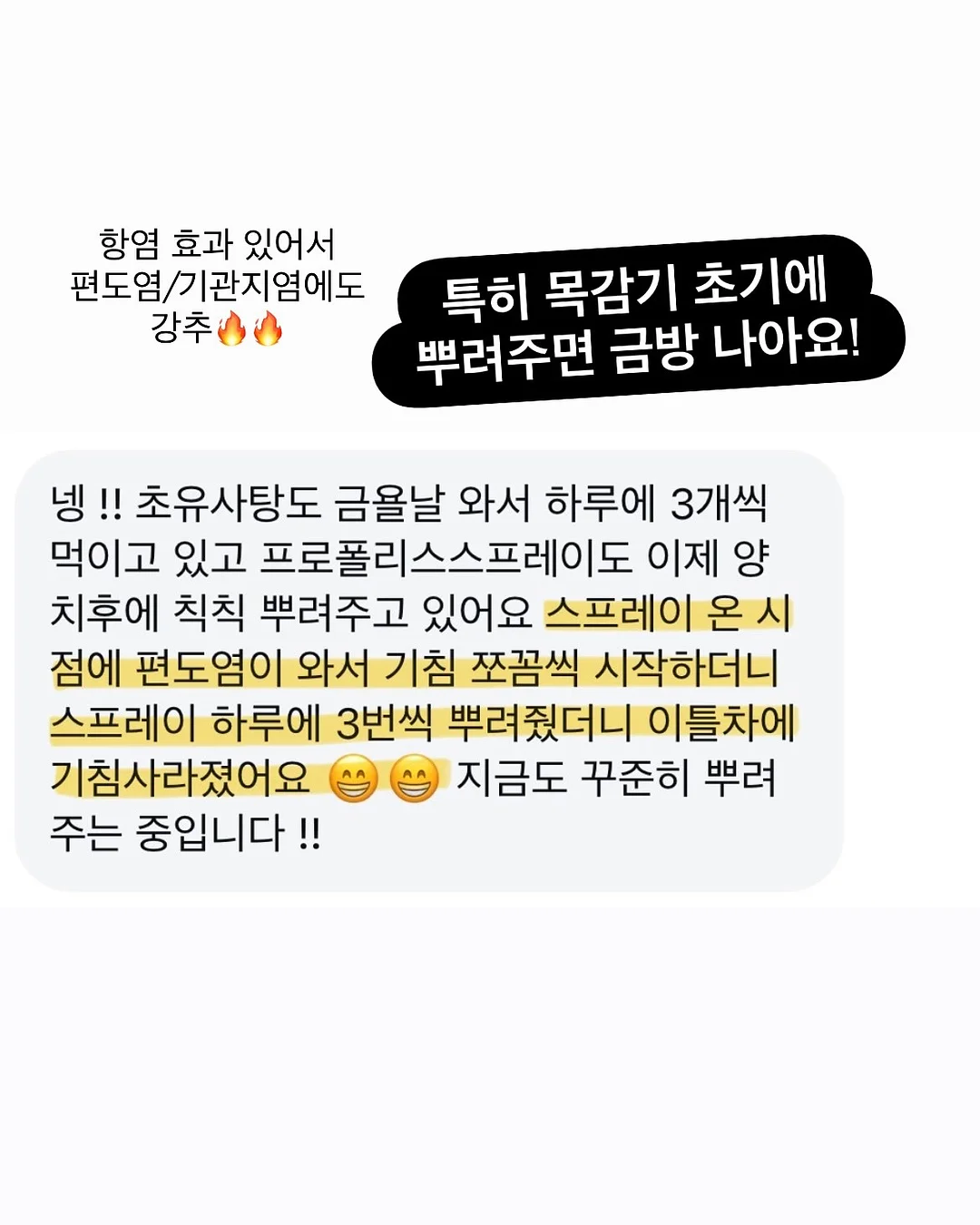 블로퍼스니커즈 8