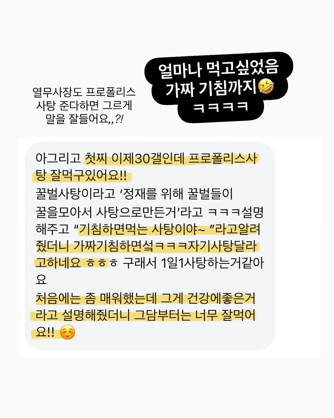 블로퍼스니커즈 10